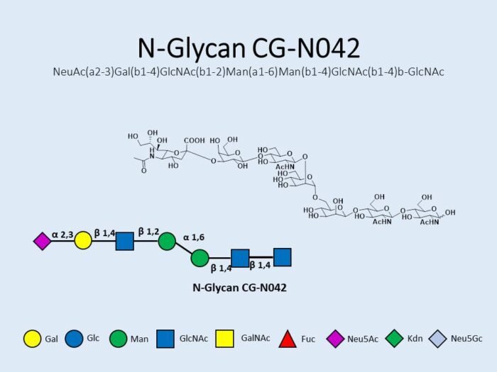 n-glycan-cg-n042