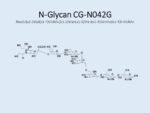 N-glycan-CG-N042G