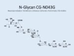 N-glycan-CG-N043G