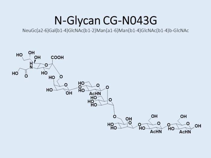 n-glycan-cg-n043g-1