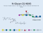 N-glycan-CG-N045