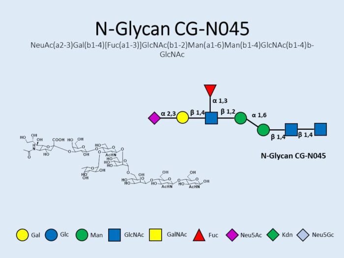 n-glycan-cg-n045