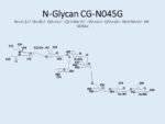 N-glycan-CG-N045G