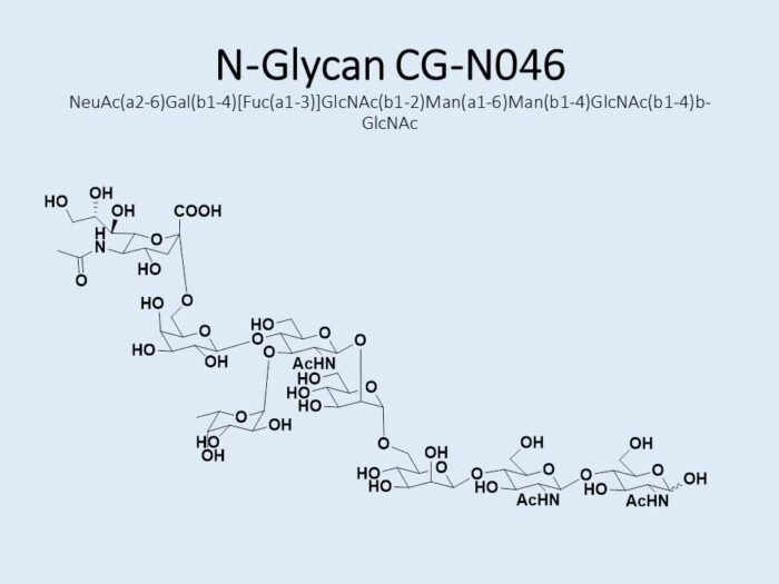 n-glycan-cg-n046-1