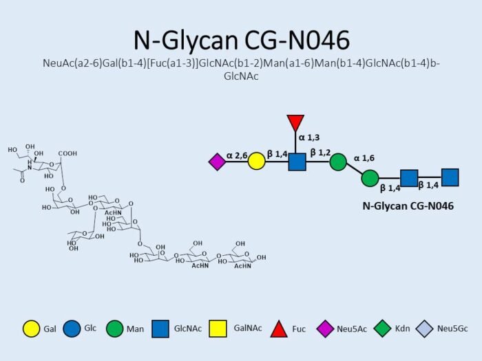 n-glycan-cg-n046