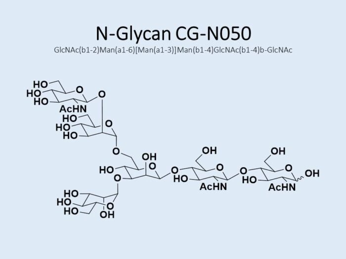 n-glycan-cg-n050-1