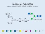 N-glycan-CG-N050