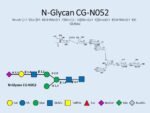 N-glycan-CG-N052