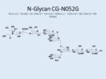 N-glycan-CG-N052G