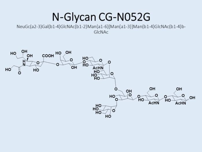 n-glycan-cg-n052g-1