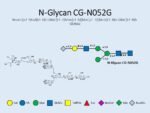 N-glycan-CG-N052G