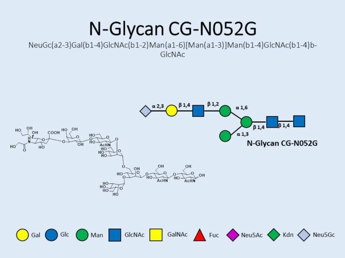 n-glycan-cg-n052g