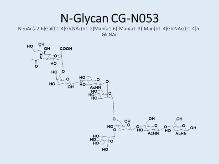 n-glycan-cg-n053-1