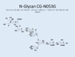 N-glycan-CG-N053G