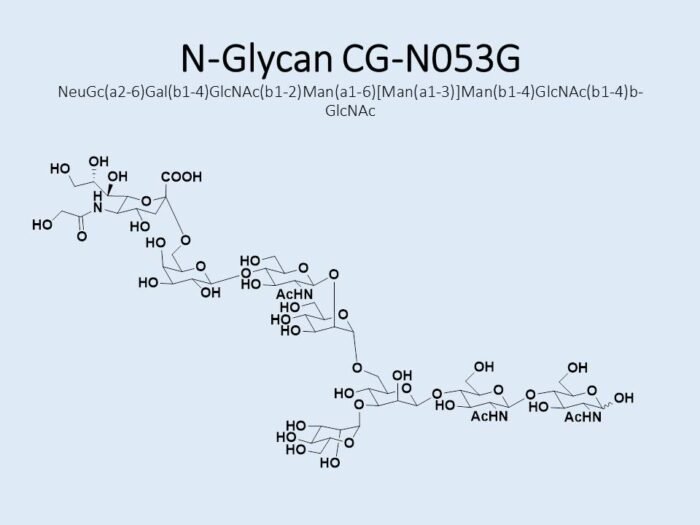 n-glycan-cg-n053g-1