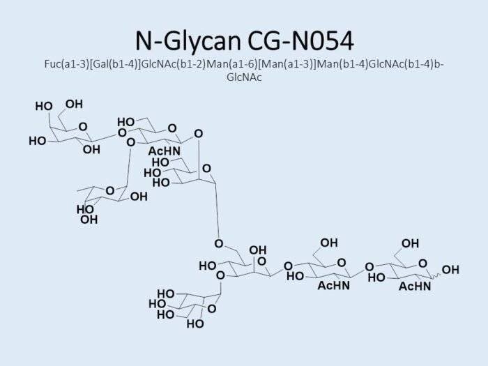 n-glycan-cg-n054-1