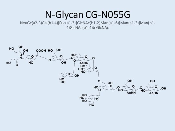 n-glycan-cg-n055g-1