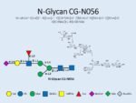 N-glycan-CG-N056