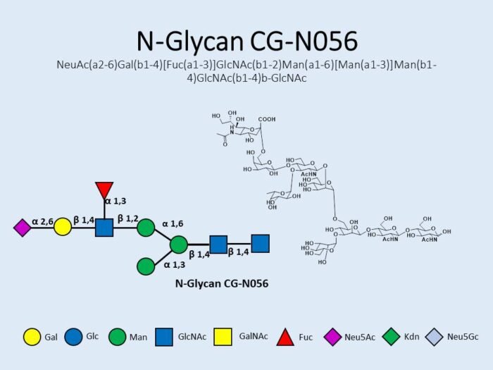 n-glycan-cg-n056