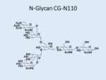 N-glycan-CG-N110