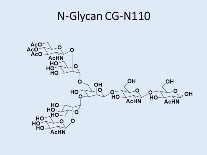 n-glycan-cg-n110-1