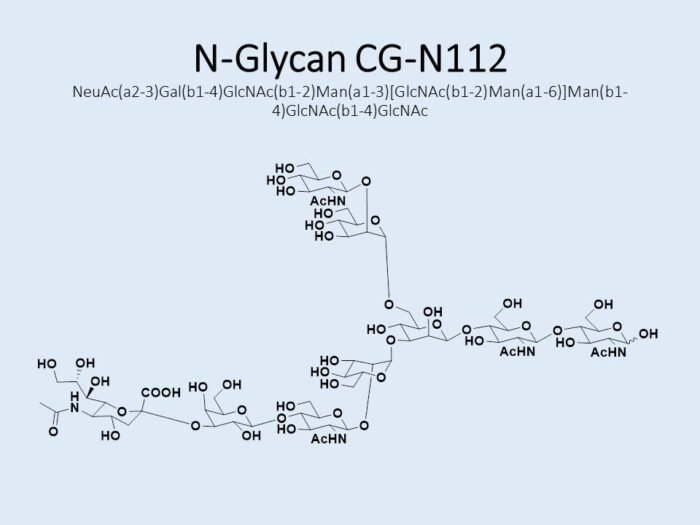 n-glycan-cg-n112-1