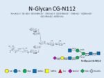 N-glycan-CG-N112