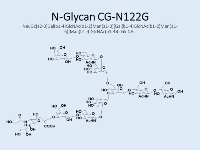 n-glycan-cg-n112g-1