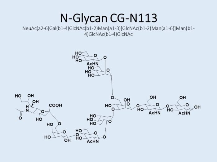 n-glycan-cg-n113-1