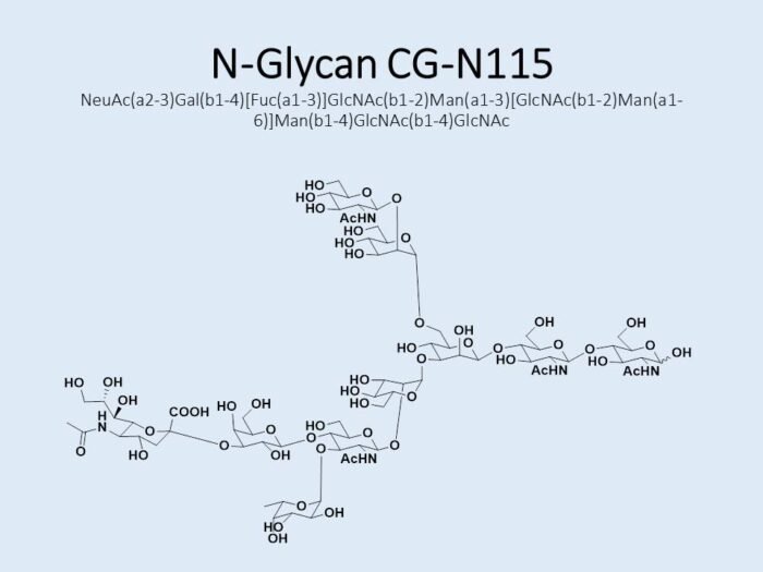 n-glycan-cg-n115-1