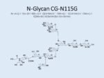 N-glycan-CG-N115G