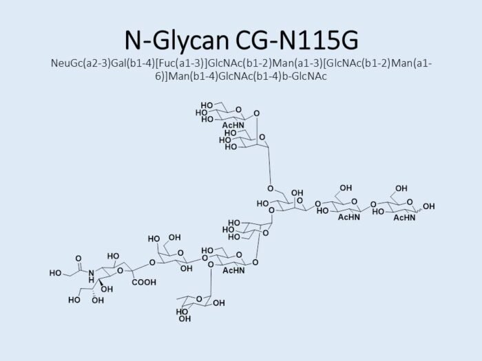 n-glycan-cg-n115g-1