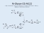 N-glycan-CG-N122