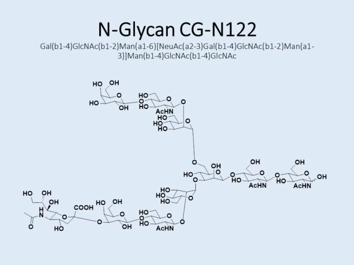 n-glycan-cg-n122-1