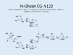 N-glycan-CG-N123