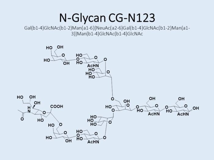 n-glycan-cg-n123-1