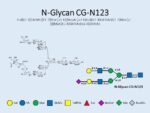 N-glycan-CG-N123