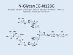 N-glycan-CG-N123G