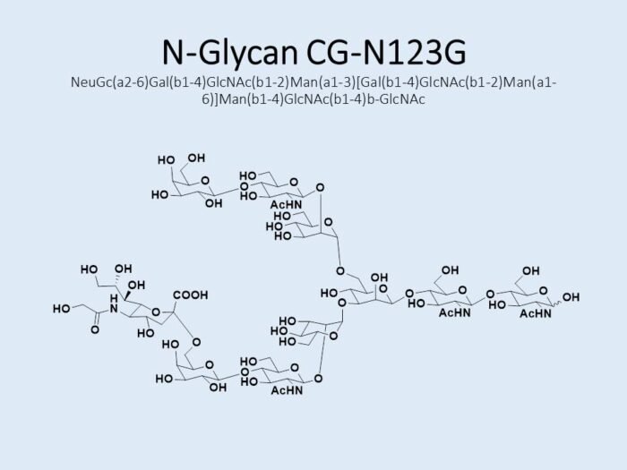 n-glycan-cg-n123g-1