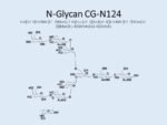 N-glycan-CG-N124