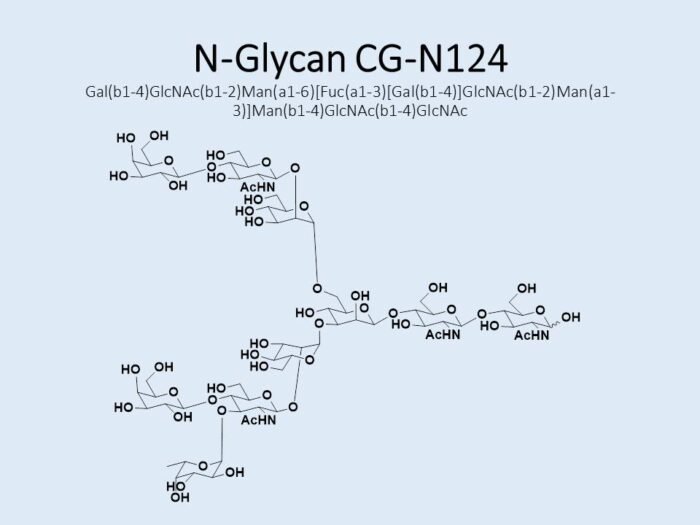 n-glycan-cg-n124-1