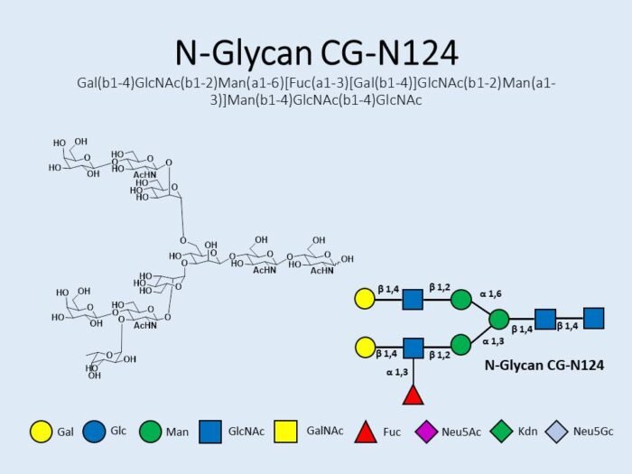 n-glycan-cg-n124