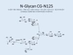 N-glycan-CG-N125