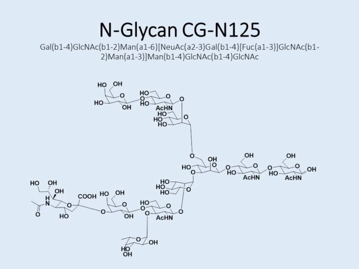 n-glycan-cg-n125-1