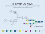 N-glycan-CG-N125