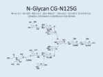 N-glycan-CG-N125G