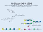 N-glycan-CG-N125G