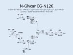 N-glycan-CG-N126