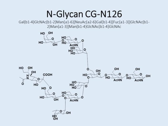 n-glycan-cg-n126-1