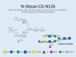 N-glycan-CG-N126